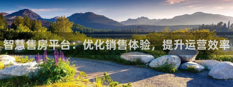 风暴娱乐银川：智慧售房平台：优化销售体验，提升运营效率