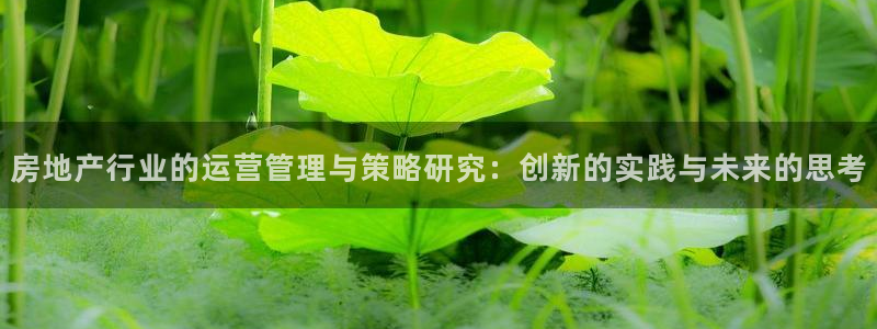 风暴娱乐官方网站：房地产行业的运营管理与策略研究：创新的实践