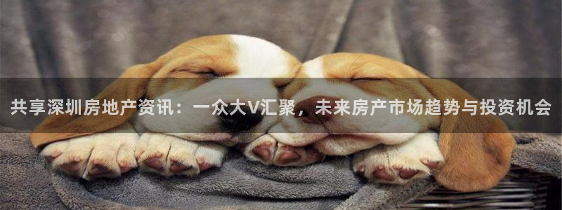 风暴娱乐号