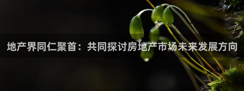 注册风暴娱乐：地产界同仁聚首：共同探讨房地产市场未来发展方向