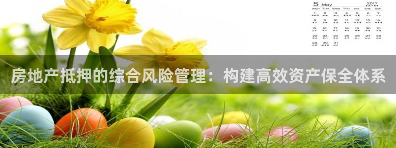 风暴娱乐拉菲8：房地产抵押的综合风险管理：构建高效资产保全体