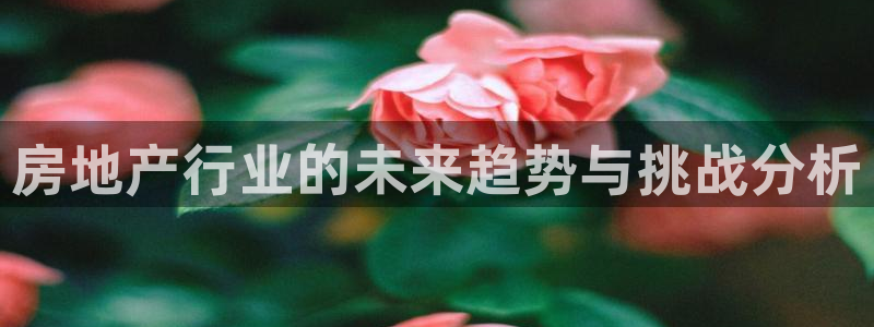 风暴娱乐提现：房地产行业的未来趋势与挑战分析