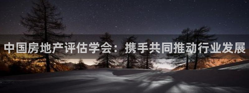 风暴娱乐自动挂：中国房地产评估学会：携手共同推动行业发展