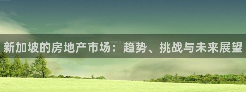 娱乐风暴开头：新加坡的房地产市场：趋势、挑战与未来展望