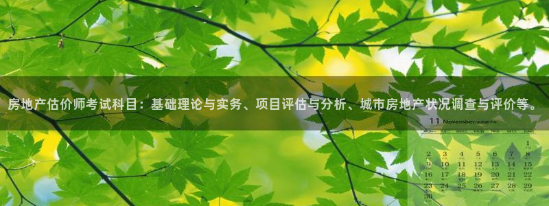 娱乐风暴系统：房地产估价师考试科目：基础理论与实务、项目评估
