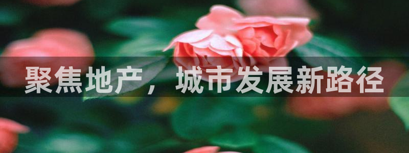 完美风暴 娱乐：聚焦地产，城市发展新路径