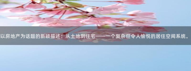 风暴娱乐点