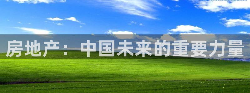 风暴娱乐首页：房地产：中国未来的重要力量