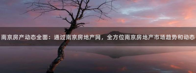 风暴娱乐线路：南京房产动态全面：通过南京房地产网，全方位南京