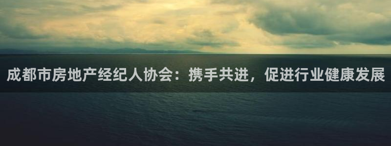 风暴娱乐：成都市房地产经纪人协会：携手共进，促进行业健康发展