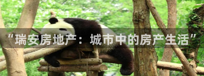 风暴娱乐去人l8888：“瑞安房地产：城市中的房产生活”