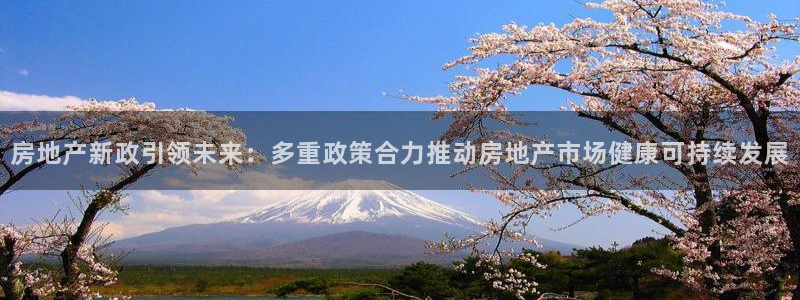 风暴娱乐乃六七五一38：房地产新政引领未来：多重政策合力推动