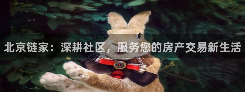风暴大厅娱乐：北京链家：深耕社区，服务您的房产交易新生活