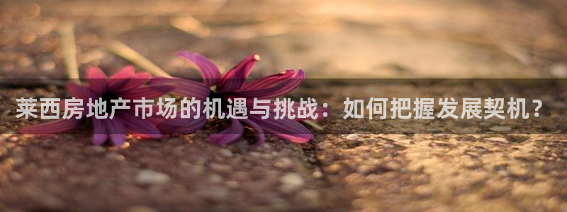 风暴娱乐代理登录：莱西房地产市场的机遇与挑战：如何把握发展契
