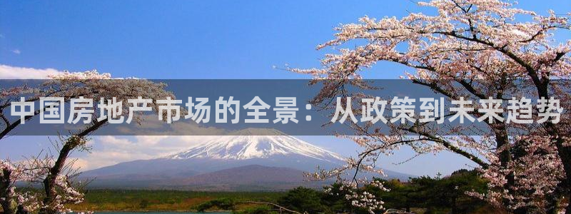 娱乐风暴App：中国房地产市场的全景：从政策到未来趋势