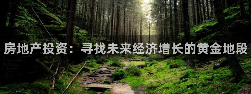 风暴数字娱乐：房地产投资：寻找未来经济增长的黄金地段