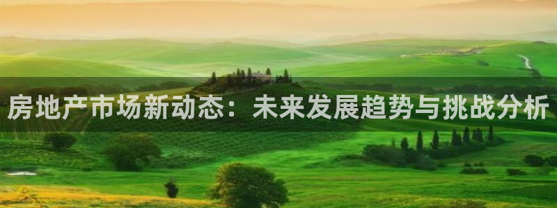 风暴娱乐1：房地产市场新动态：未来发展趋势与挑战分析