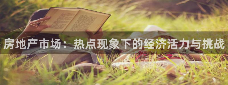 风暴新娱乐：房地产市场：热点现象下的经济活力与挑战
