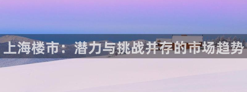 注册风暴娱乐：上海楼市：潜力与挑战并存的市场趋势
