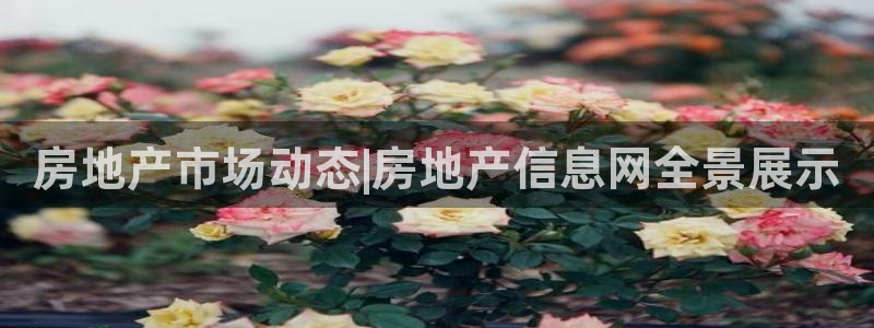 光风暴娱乐：房地产市场动态|房地产信息网全景展示