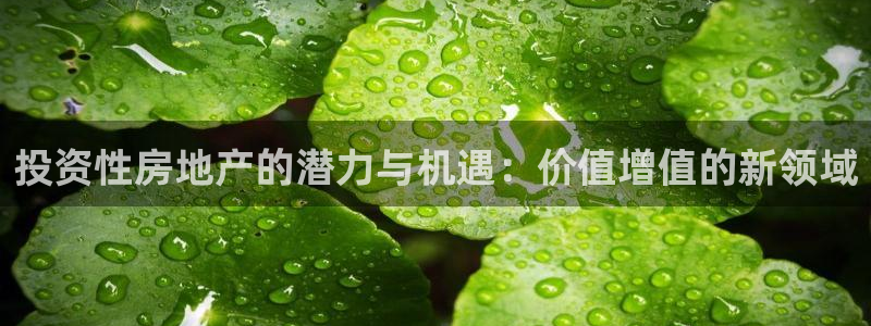 风暴娱乐平台官网登陆：投资性房地产的潜力与机遇：价值增值的新