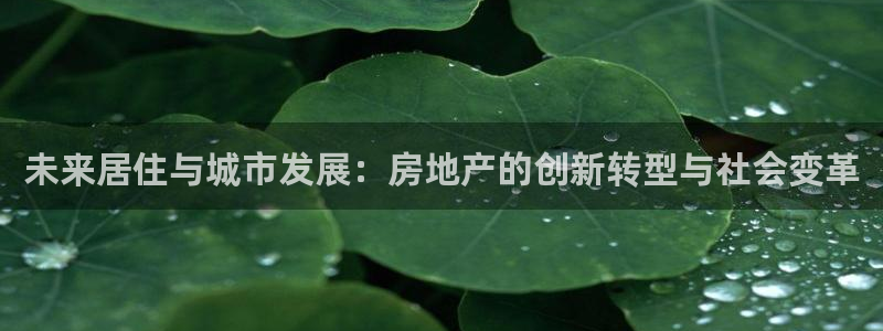 风暴数字娱乐：未来居住与城市发展：房地产的创新转型与社会变革