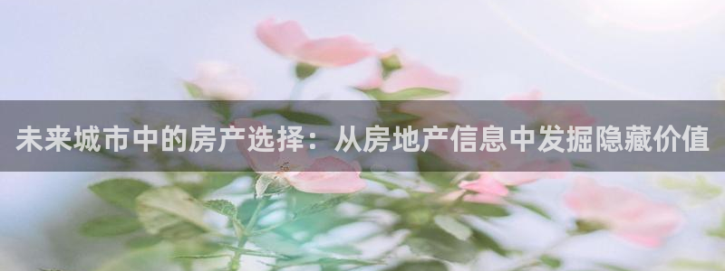 风暴娱乐老板：未来城市中的房产选择：从房地产信息中发掘隐藏价
