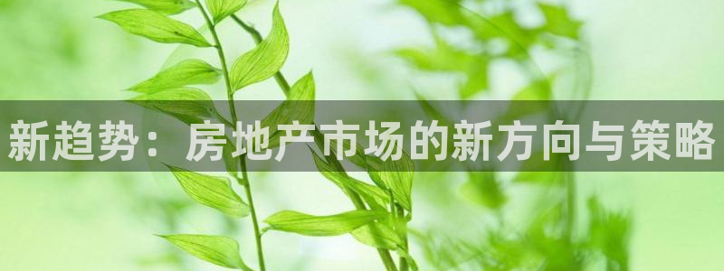 风暴娱乐下5指尖：新趋势：房地产市场的新方向与策略