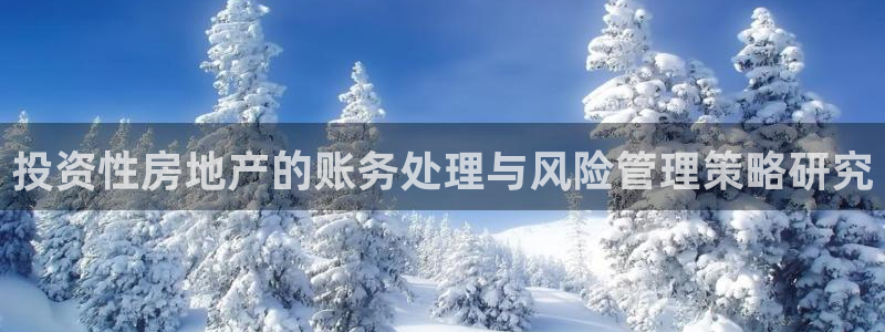 蓝色风暴娱乐：投资性房地产的账务处理与风险管理策略研究