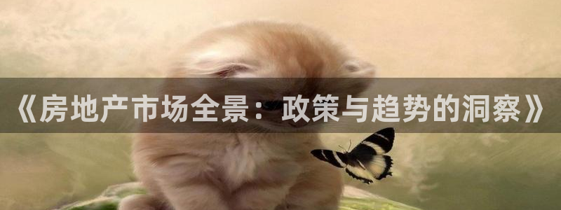 风暴娱乐下5指尖：《房地产市场全景：政策与趋势的洞察》