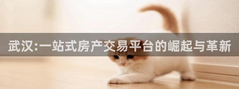 万万娱乐风暴：武汉:一站式房产交易平台的崛起与革新