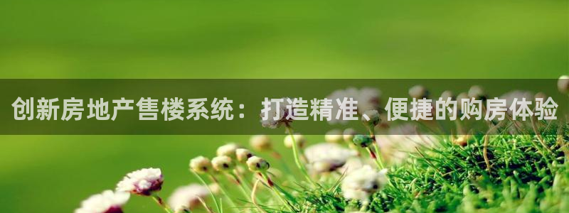 风暴娱乐地5指尖：创新房地产售楼系统：打造精准、便捷的购房体