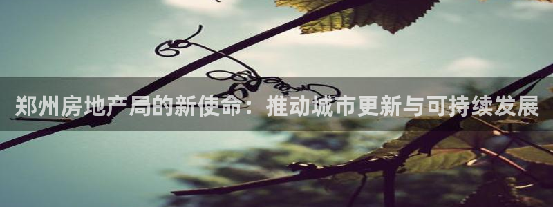 风暴娱乐40996：郑州房地产局的新使命：推动城市更新与可持