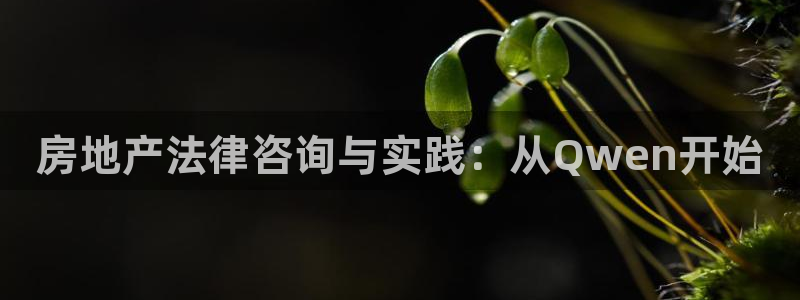 风暴娱乐首页：房地产法律咨询与实践：从Qwen开始