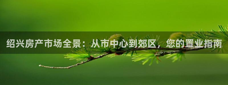 风暴娱乐 平台首页：绍兴房产市场全景：从市中心到郊区，您的置