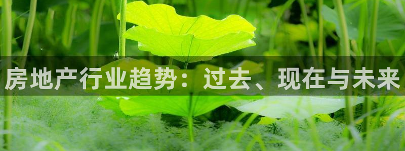 风暴娱乐老板：房地产行业趋势：过去、现在与未来