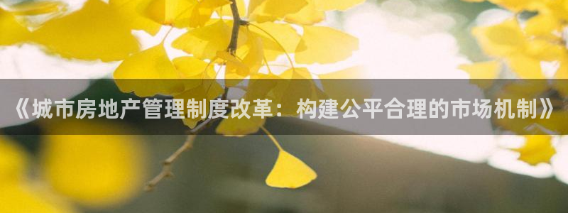 风暴娱乐平台地址：《城市房地产管理制度改革：构建公平合理的市
