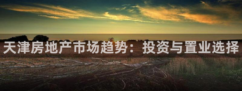 风暴娱乐主管是谁：天津房地产市场趋势：投资与置业选择
