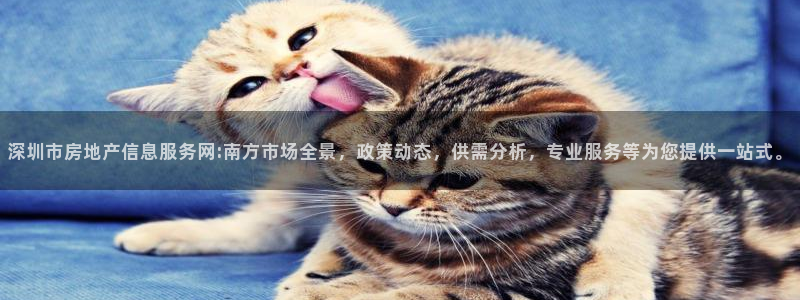 风暴娱乐棋牌：深圳市房地产信息服务网:南方市场全景，政策动态