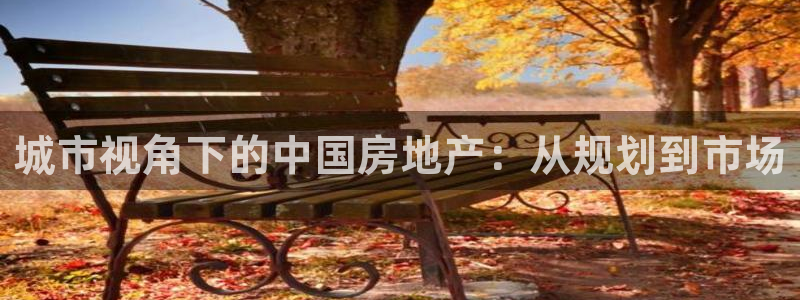 娱乐风暴开头：城市视角下的中国房地产：从规划到市场