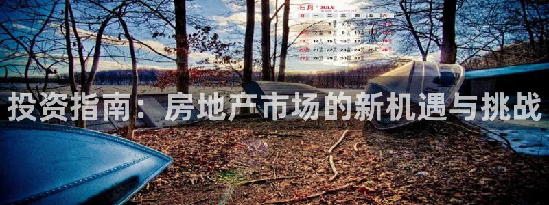 风暴注册娱乐：投资指南：房地产市场的新机遇与挑战