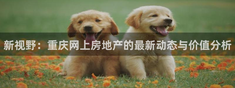 风暴娱乐下载地址