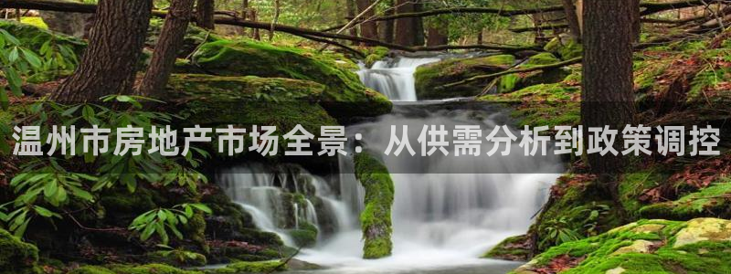 风暴娱乐去人l8888：温州市房地产市场全景：从供需分析到政