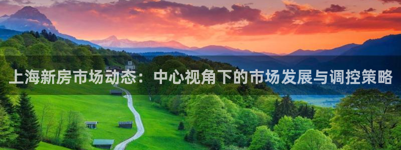 风暴娱乐实况：上海新房市场动态：中心视角下的市场发展与调控策