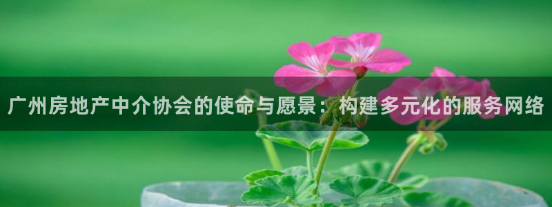 风暴娱乐代理登录：广州房地产中介协会的使命与愿景：构建多元化