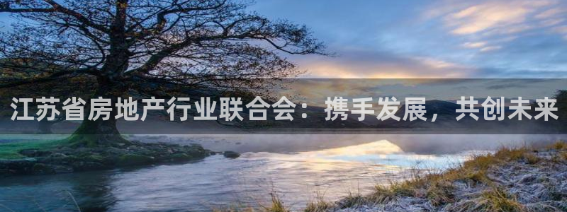 菲律宾风暴娱乐集团：江苏省房地产行业联合会：携手发展，共创未