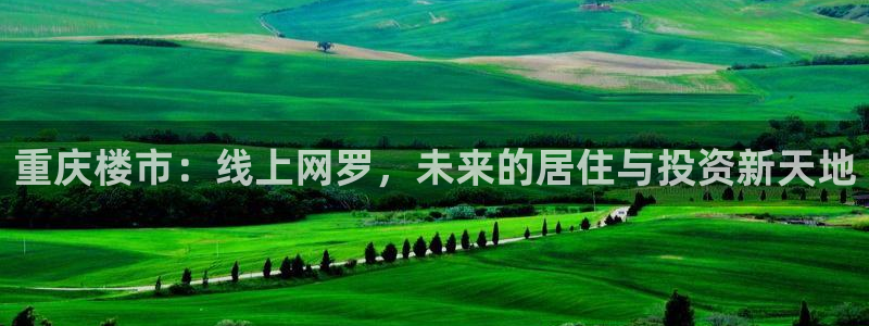 娱乐星空风暴：重庆楼市：线上网罗，未来的居住与投资新天地