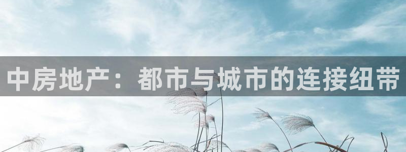 风暴娱乐344272：中房地产：都市与城市的连接纽带