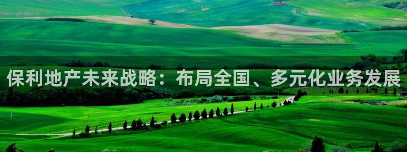 风暴娱乐：保利地产未来战略：布局全国、多元化业务发展