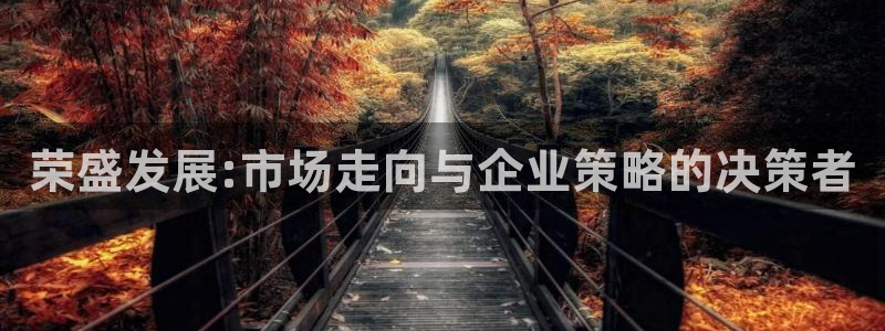 风暴娱乐园：荣盛发展:市场走向与企业策略的决策者